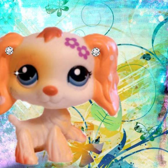 Meet your Posher, Lee - Picture 1 of 1